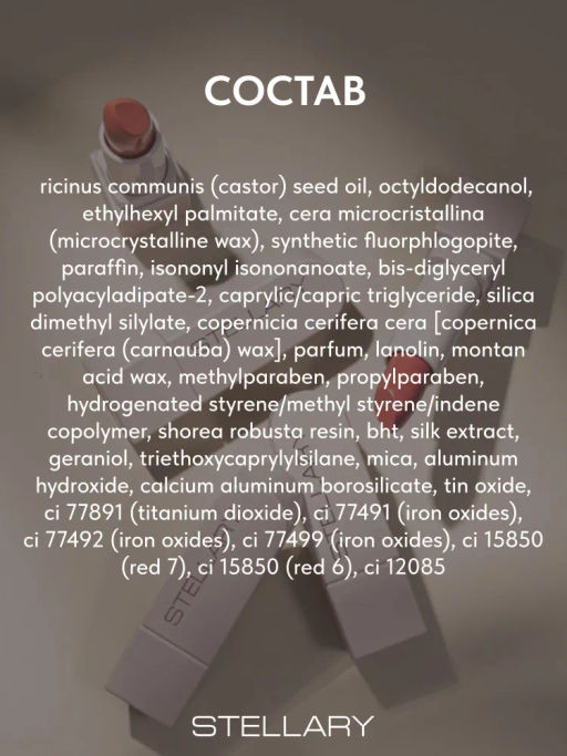 Stellary Помада для губ Устойчивая RICH NUDE тон 25 sweet cacao фото 7