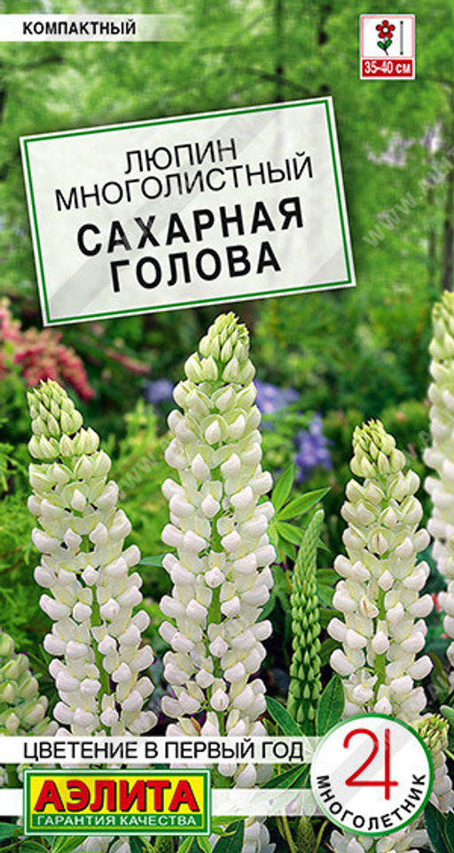 1594A Люпин Сахарная голова 7шт