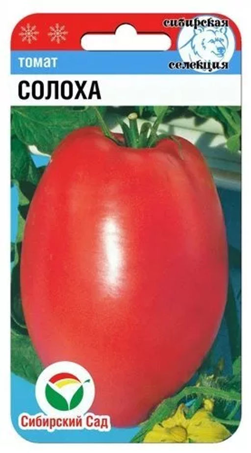Солоха томат 20шт (сс)