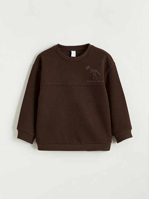 Dinozor Bask?l? Erkek ?ocuk Kal?n Sweatshirt ve E?ofman Alt?