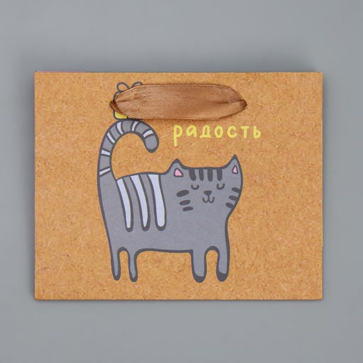 Пакет крафтовый горизонтальный Несу радость, S 15 12 5,5 см - Дарите счастье фото 5