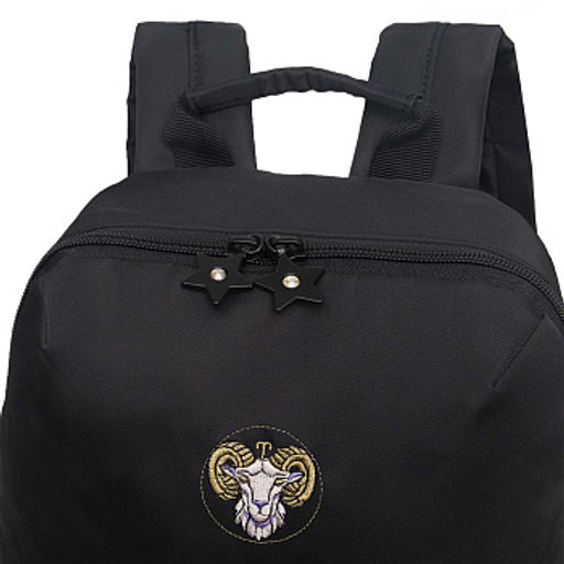 RXL-620-1 Рюкзак с обвесом - Grizzly фото 7