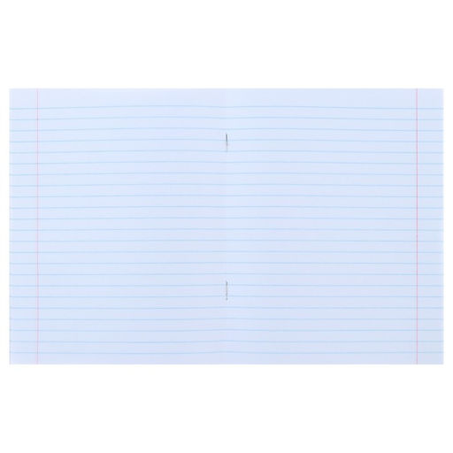 Тетрадь предметная Металл, 48 листов в линейку Литература со справочным материалом, обложка мелованный картон, блок №2, белизна 75% (серые листы) - Calligrata фото 2