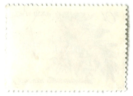 Марка Облепиха крушевидная 1980 год