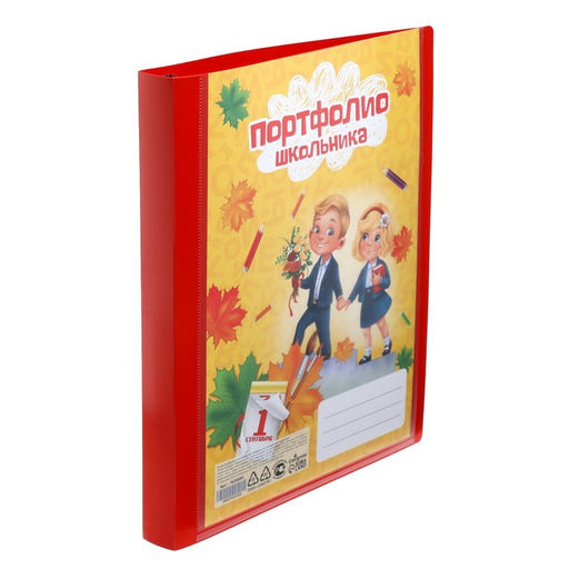 Папка-портфолио А4, Calligrata «Гимназия», пластиковая, на 4 кольцах, для школьника, без вкладышей