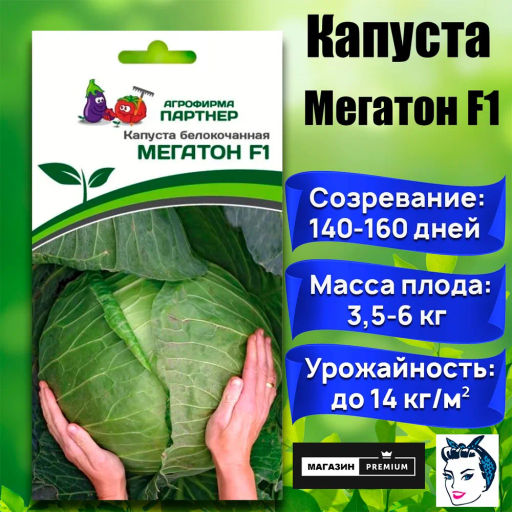 Капуста белокочанная позднеспелая Мегатон - Партнер фото 8