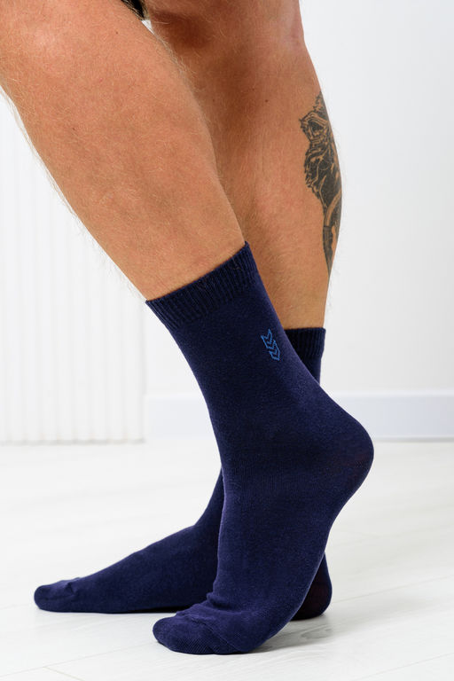 Носки Бриз мужские 3 пары - Berchelli фото 3