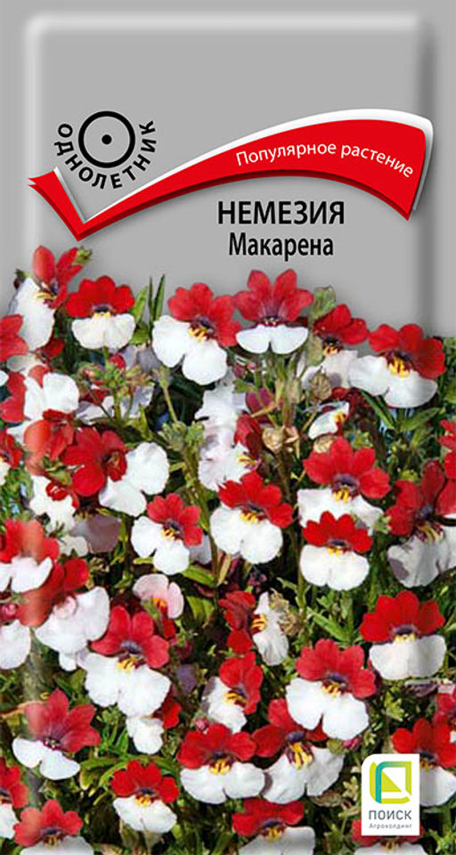 Немезия Макарена (ЦВ) (1) 0,05гр - Поиск фото 2
