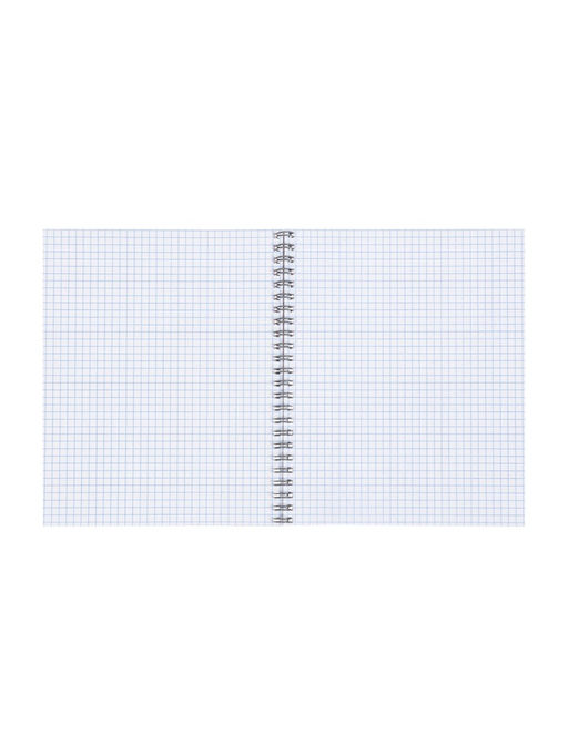 Набор тетрадей Calligrata «Геометрия в природе», 3 штуки, 96 листов, на гребне, обложка из мелованного картона