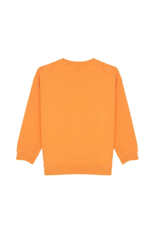 Erkek _ocuk Bak_r Sweatshirt Sepette S_rpriz _ndirim - U.s. polo assn фото 2