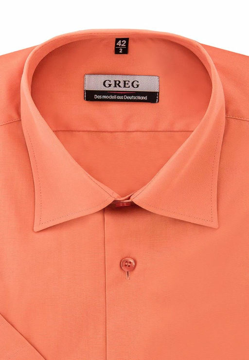 Сорочка мужская короткий рукав GREG 520/309/CAR