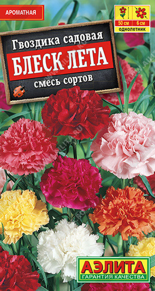 1369A Гвоздика садовая Блеск лета, смесь сортов 0,05гр