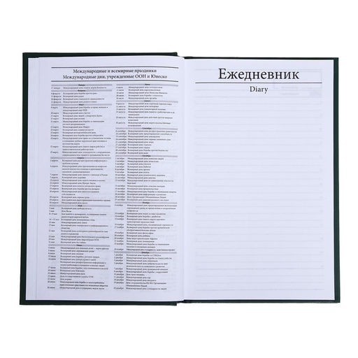 Ежедневник недатированный А5, 128 листов, обложка бумвинил, зелёный