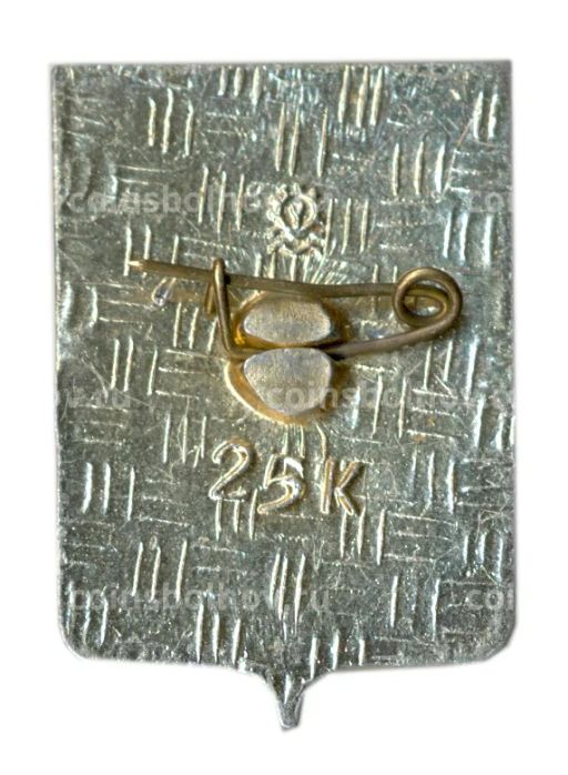 Значок Мурманск