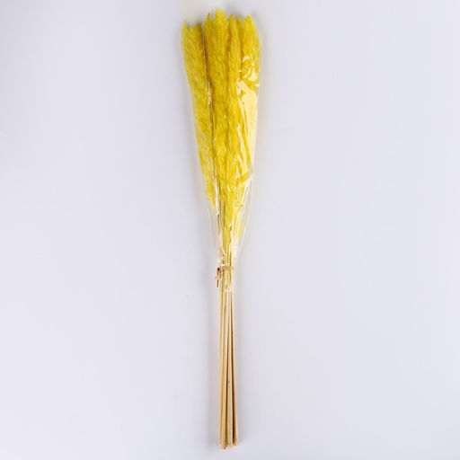 Сухоцвет Камыш набор 15 шт, цвет оранжевый - Simaland фото 5