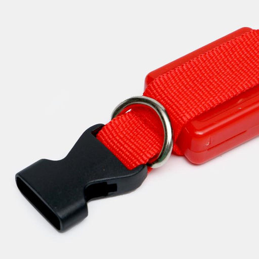 Ошейник светящийся узкий для небольших собак, 26 х 1,5 см, красный - Пижон фото 4