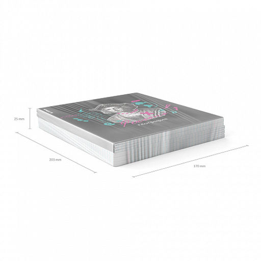 Цена за 5 шт. Тетрадь общая ученическая с пластиковой обложкой на скобе ErichKrause Persons, География, 48 листов, клетка фото 5