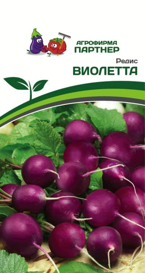 Редис Виолетта - Партнер фото 2