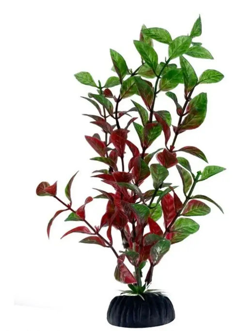 Растение Алиса 816S (4*20см)