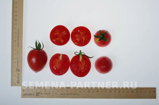 Томат Летний Бал - Партнер фото 5