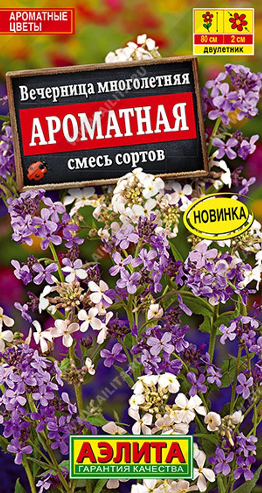 Вечерница Ароматная, смесь сортов --- Дв
