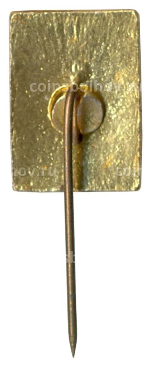 Значок Друскининкай