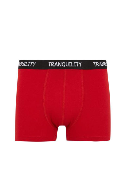 Комплект боксеров стандартной посадки (3 шт.) - Defacto фото 7