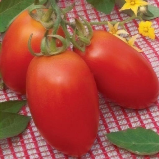 5107D Томат Рио Спринт F1 5шт