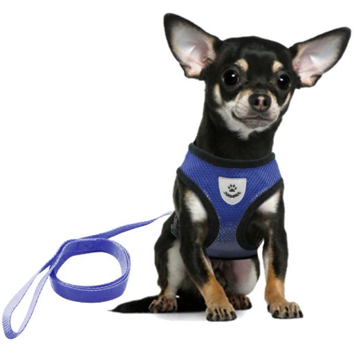 Цена за 2 шт. Шлейка с поводком 118см "Sweet puppy" размер S, цвет голубой