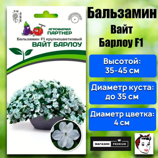 Бальзамин Уоллера крупноцветковый Вайт Барлоу - Партнер фото 2