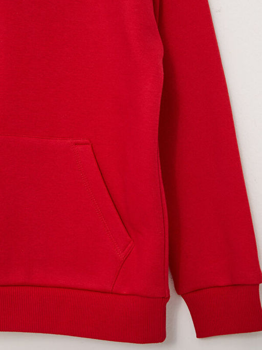 Kap??onlu Bask?l? Uzun Kollu K?z ?ocuk Sweatshirt - Waikiki фото 3