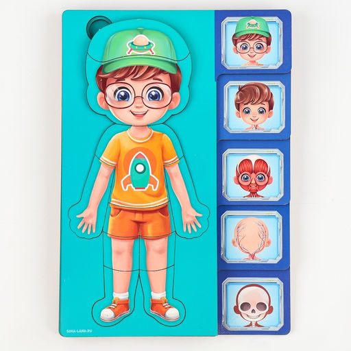 Обучающий набор Тело человека, рамка-вкладка и книга с наклейками - Лесная мастерская фото 6