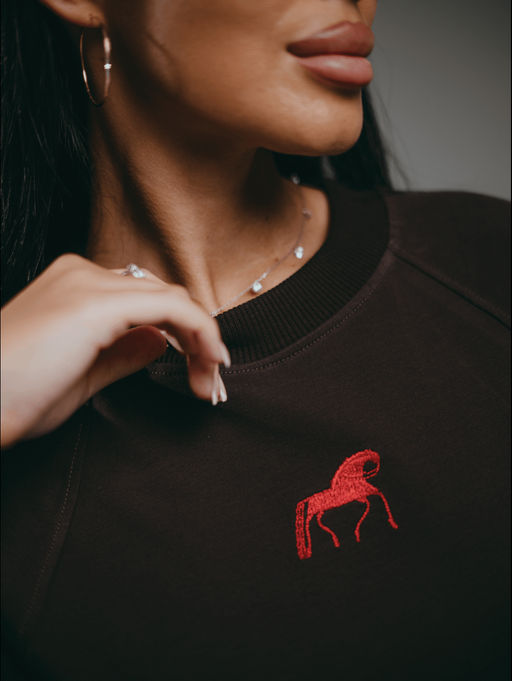 Символ свитшот женский (шоколад) - Lovetex фото 7