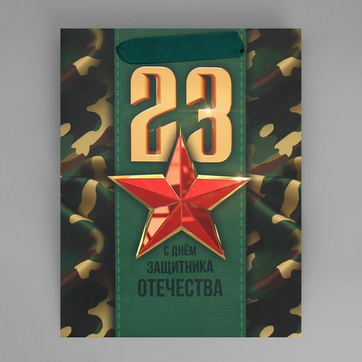 Цена за 2 шт. Пакет подарочный ламинированный, упаковка, С 23 февраля, MS 18?23?10 см