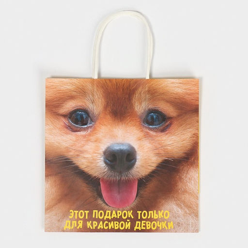 Цена за 2 шт. Пакет подарочный, упаковка, Подарочек, 22?22?11 см