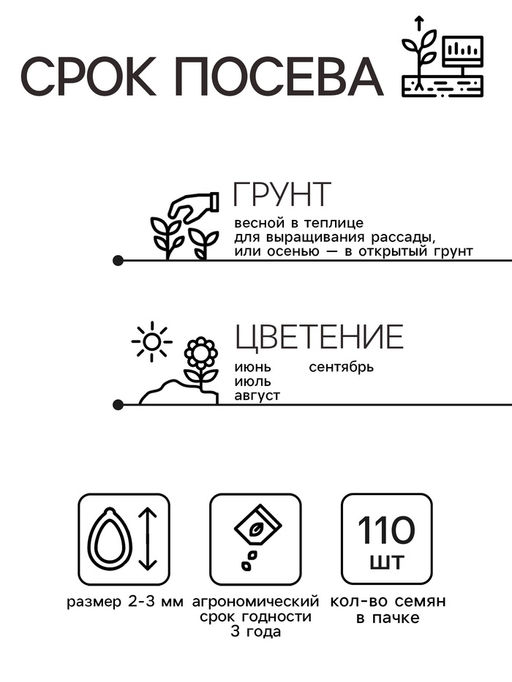 Цена за 3 шт. Семена Монарда лимонная "Бегемот", 110 шт