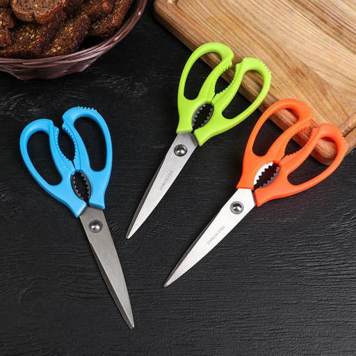 Ножницы кухонные Доляна «Саймон», 23 см, зелёные