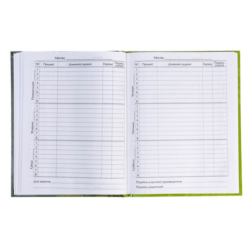 Цена за 2 шт. Дневник универсальный для 1-11 классов, «Футбол», твердая обложка 7БЦ, глянцевая ламинация, 40 листов