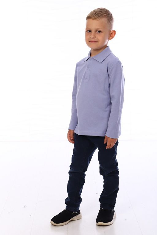 Ф027 Футболка Поло дл. рук. (серая)