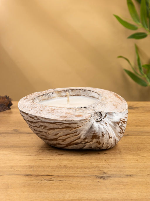 Свеча в кокосе, 20×20×7 см, белая