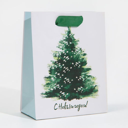 Цена за 2 шт. Пакет подарочный новогодний ламинированный «Морозная свежесть», 12 х 15 х 5.5 см