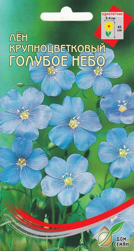 Лён крупноц. Голубое небо