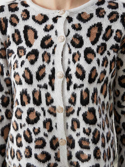 Bisiklet Yaka Leopar Desenli Kad?n Triko H?rka