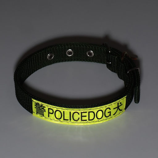 Ошейник двухслойный с вертлюгом, 2,5 см, зелёный, длина 58 см - Пижон фото 7