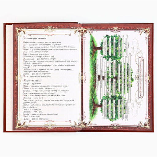 Родословная книга в шкатулке новогодняя «Каждый день», 26×8×27 см
