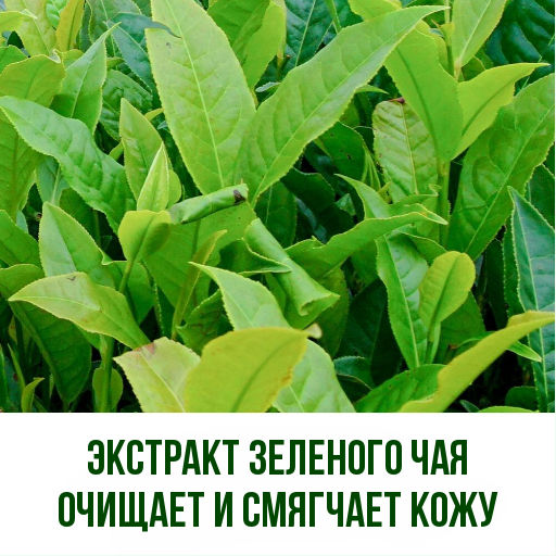 !Маска-пленка от черных точек с экстрактом зеленого чая, 50 г - Images фото 2