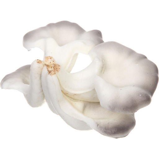 Фигура садовая "Вешенки" 10*14 см, серый