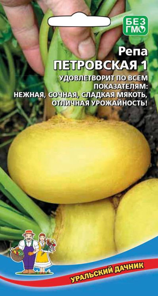 Репа ПЕТРОВСКАЯ 1 Нежная, сочная, сладкая мякоть! Отличная лёжкость!