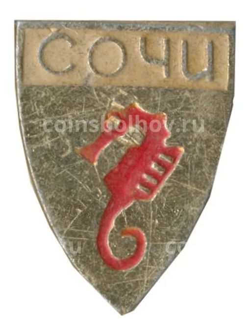 Значок Сочи