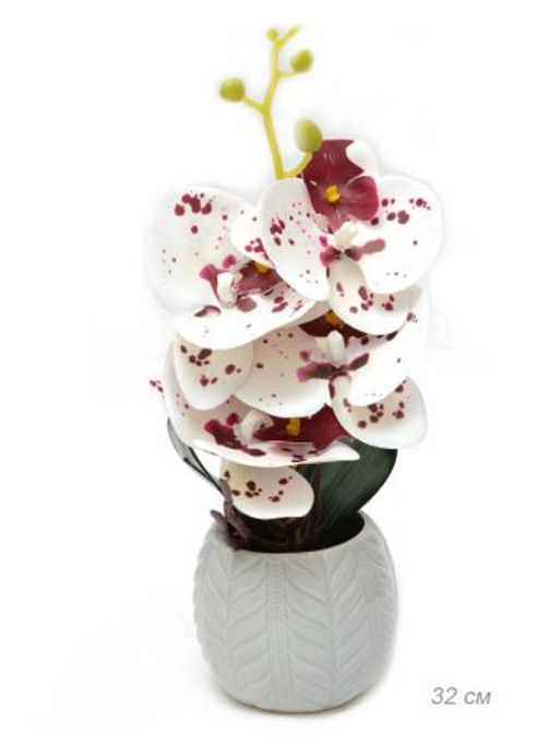 Цветочная композиция Орхидея 32 см / 0213-143 /уп 36/ - Галеонтрейд фото 7